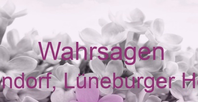 Wahrsagen Eyendorf, Lüneburger Heide | Top-Experten für Kartenlegen, Wahrsagen, Hellsehen, Zukunftsdeutung.